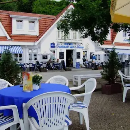 Gastmahl Des Meeres * Sassnitz