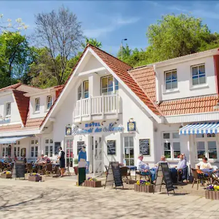 Gastmahl Des Meeres Sassnitz